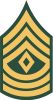 First Sergeant (abbreviated as 1SG) (paygrade E-8), United States Army