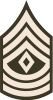 First Sergeant, (abbreviated as 1SG) (paygrade E-8), United States Army