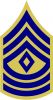 First Sergeant, United States Army (Combat Arms)
