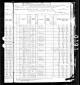 1880 Census, Clay City Township, Clay County, Illinois, page 21a