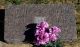 Headstone, Coulter, Charles W. Headstone, Coulter, Charles W.