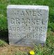 Headstone, Crackel, James