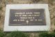 Headstone, Tibbs, Charles Hank Headstone, Tibbs, Charles Hank