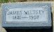 Headstone, Wiltsey, James Headstone, Wiltsey, James